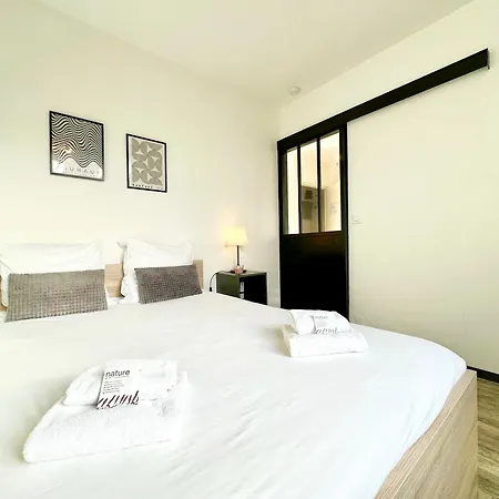 Le Saint Roch - Hyper Centre - Clim - Cosy - Renove Apartment Mont-de-Marsan Exterior photo